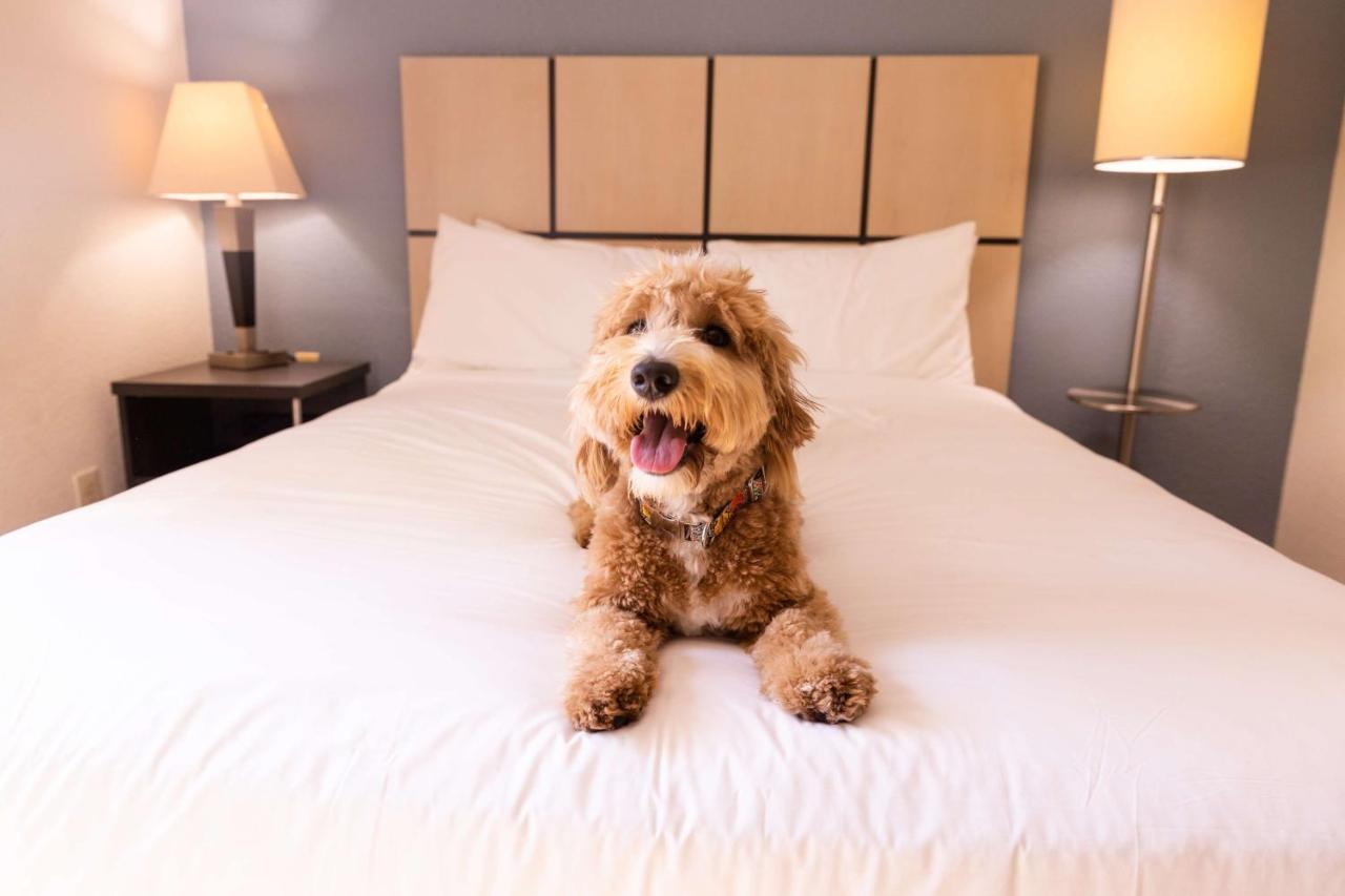 גרדן גרוב Sonesta Simply Suites Anaheim מראה חיצוני תמונה